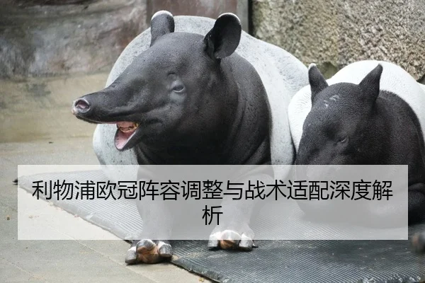 利物浦欧冠阵容调整与战术适配深度解析（6TSports）